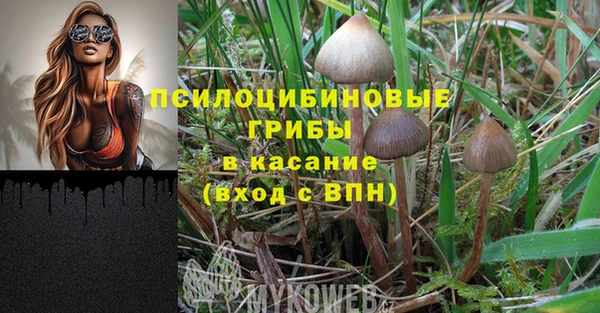 соль ск Алексин