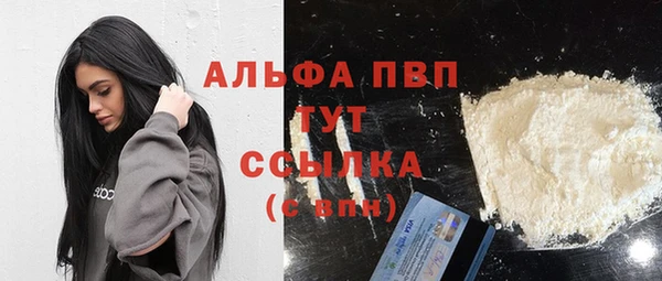 индика Абинск