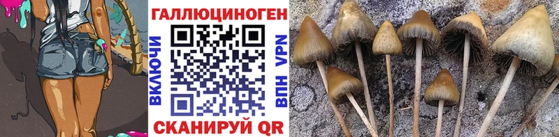 Галлюциногенные грибы Cubensis  Шарыпово 