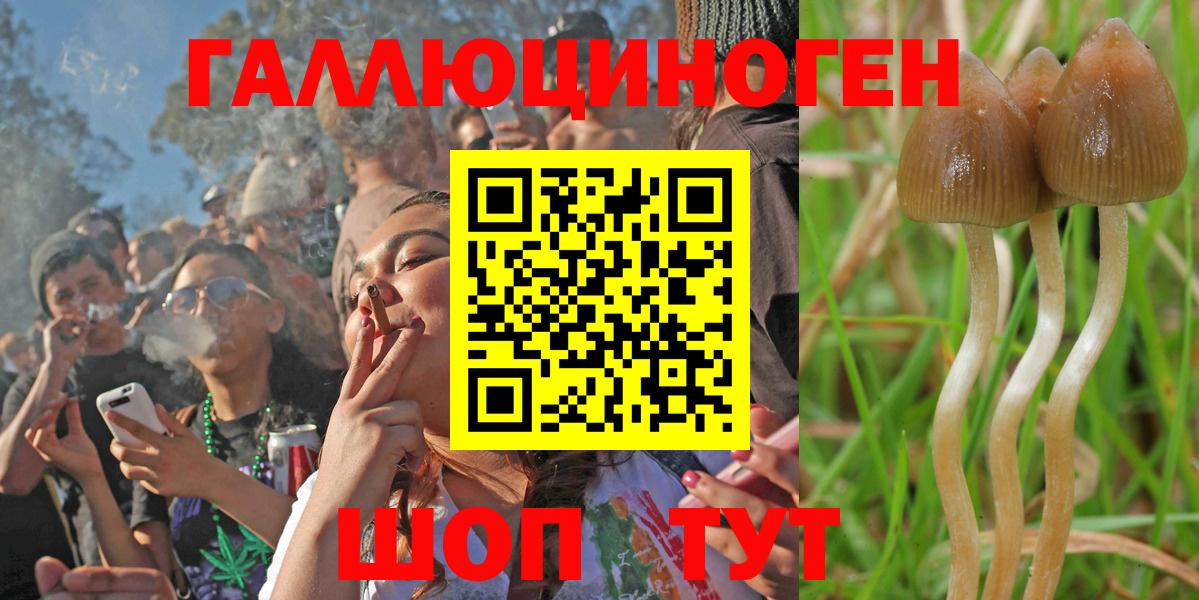 Шарыпово  Псилоцибиновые грибы Magic Shrooms  Псилоцибиновые грибы Cubensis  Вход с VPN 