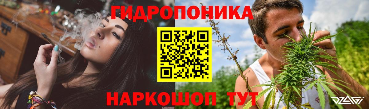 Шишки марихуана гибрид Шарыпово